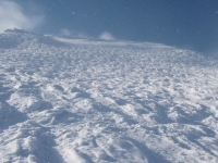 DSCF0398.JPG
